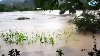 Скачать видео: Sel felaketi Ordu'yu vurdu! Köprü yıkıldı, Karadeniz sahil yolu trafiğe kapandı