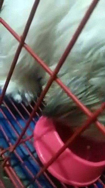 kain ka lang dyan girl