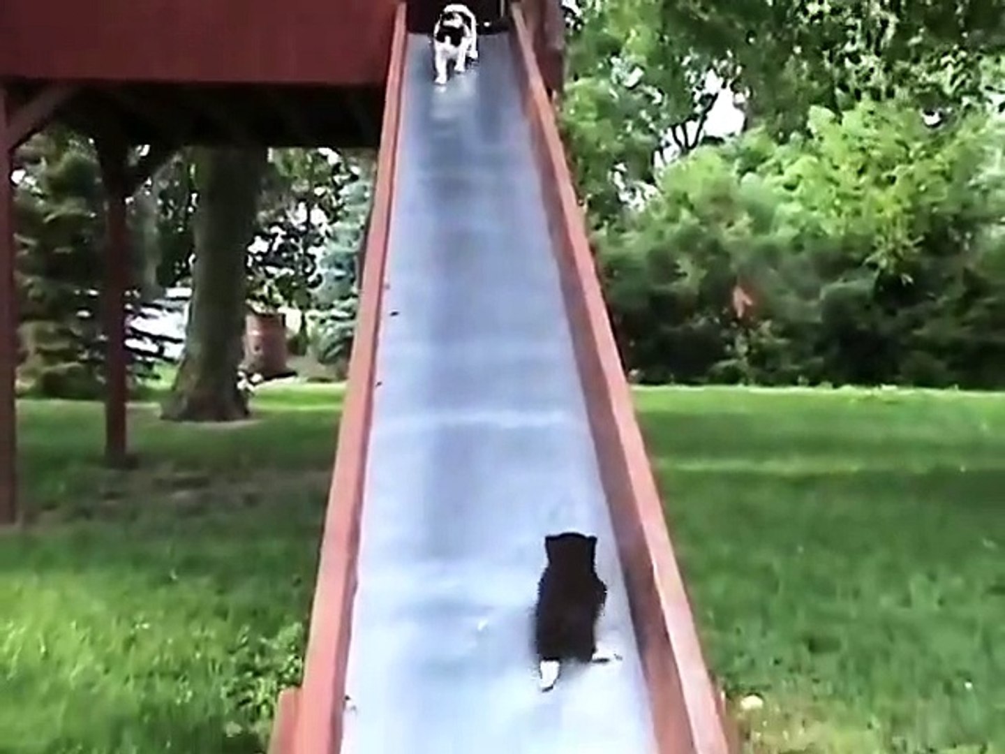 Best videos, Top videos, Viral videos Funny videos no. 15