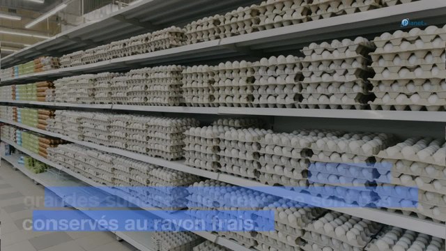 Crus ou cuits : peut-on mettre des œufs au congélateur ?