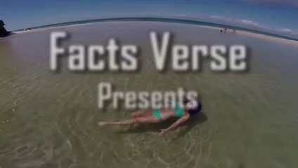 10 Most Dangerous Beaches In The World 2021