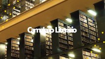 Livros para estudar a lei da atração + cadernos