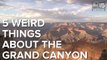 PINK SNAKES Weird things about the Grand Canyon - ABC15 Digital