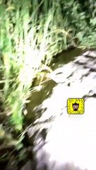 الجن يهدي المغامر كتاب شئ لا يصدق العقل تابع