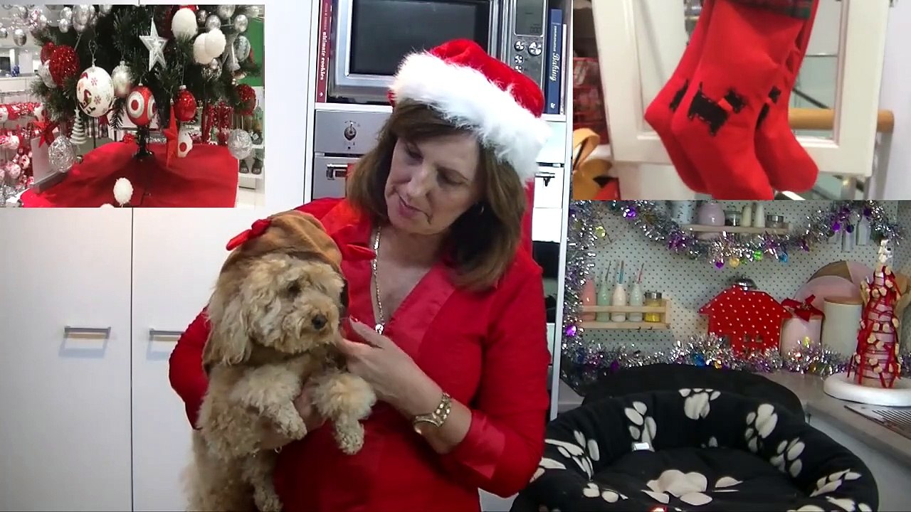 Christmas Peanuts Snoopy Dog House Pinata- Xmas Treats Diy Dog Food By Cooking For Dogs