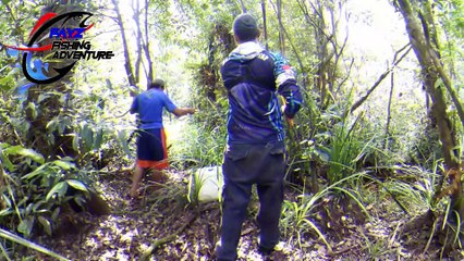 Cara Mencari Umpan Hidup untuk Ikan Belida I How to Find Live Bait for Giant Featherback Ep# 29