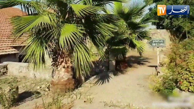 سافر معنا.. ميلة