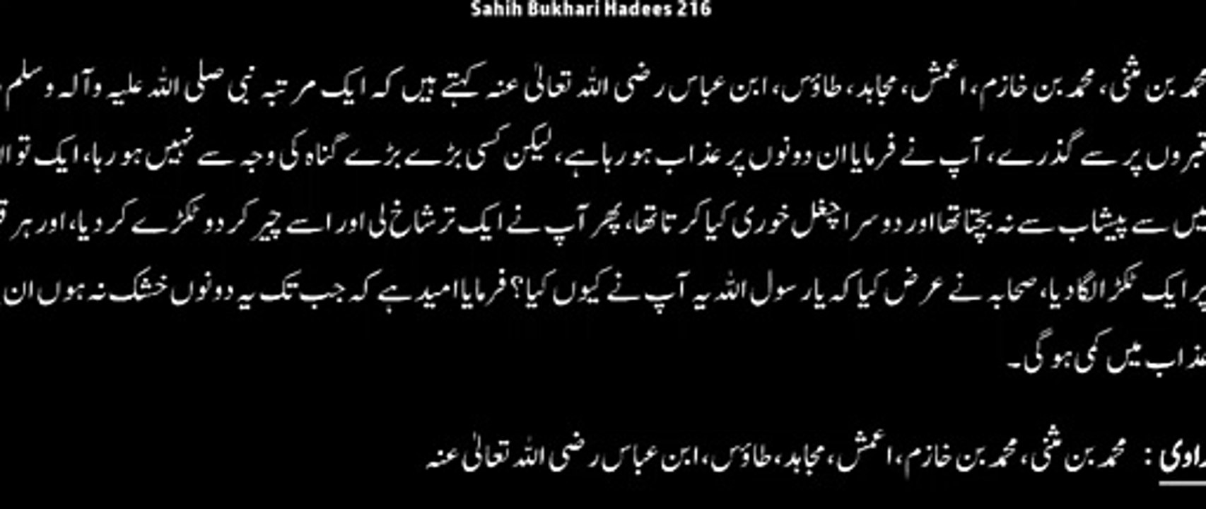 Watch *Hadith 216 Sahih Bukhari*