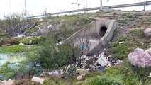 Au coeur de Tunis, la lagune, ses flamants roses... et ses déchets