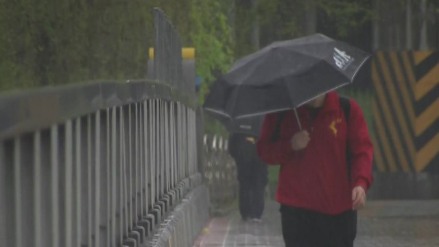 [날씨] 주말 전국 많은 비...해안가 강풍 주의 / YTN