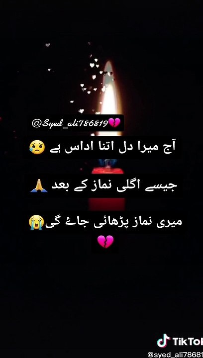 New Funny Videos 2021