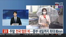 [날씨] 주말 전국 많은 비…중부 내일까지 최대 80mm