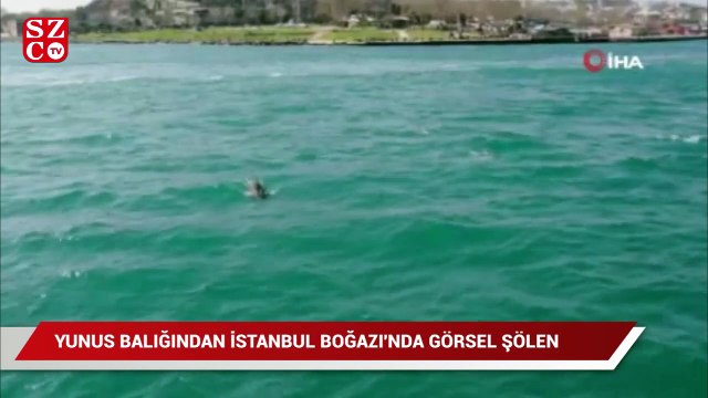Yunus balığından İstanbul Boğazı'nda görsel şölen