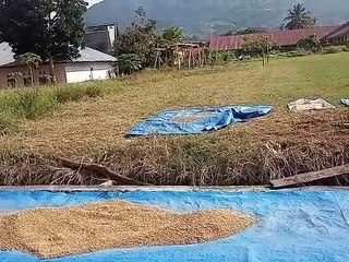 Suasana di Lapangan Bonelemo