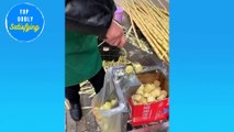 Satisfying Videos Of Workers Doing Their Job Perfectly #2| Satisfying Skill at Work
