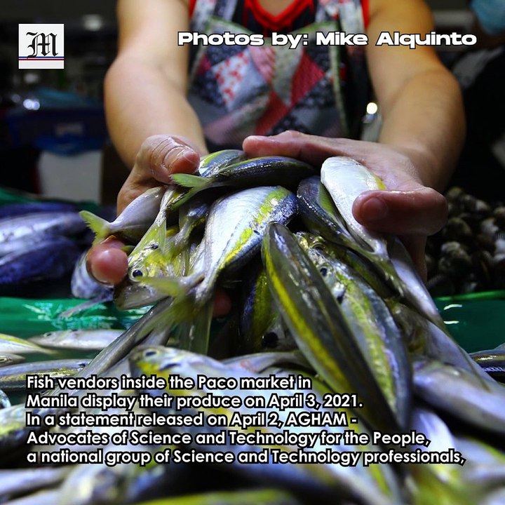 Protecting The PH Fish Industry