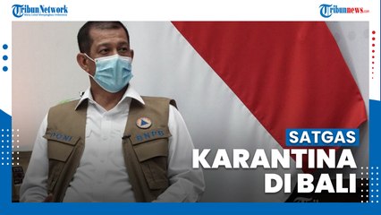 Doni Monardo Minta Bali Bentuk Satgas Karantina Cegah Strain Baru Covid-19 dari Luar Negeri