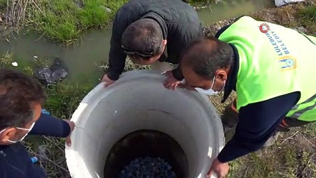 Kanalizasyon hattına yüzlerce bozulmuş ayran attılar