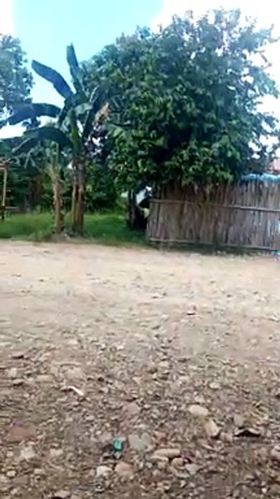ddanan