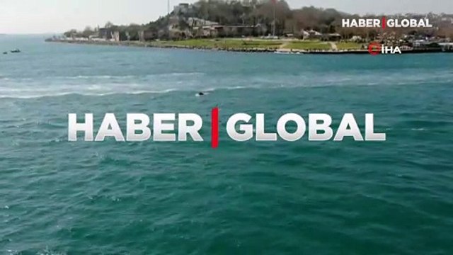 Deniz trafiği azalınca gün yüzüne çıktılar! Boğazın turkuazında yunuslar görsel şölen oluşturdu