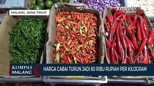 Akhirnya!! Harga Cabai Rawit Berangsur Turun