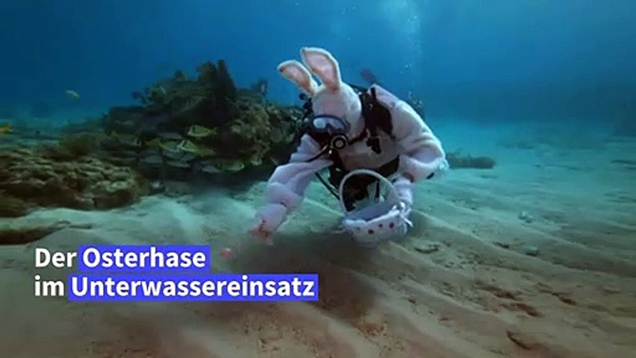 Ostereiersuche unter wasser