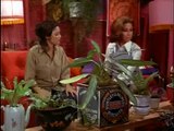 Mary Tyler Moore S03E24 Mary Richards And The Incredible Plant Lady
