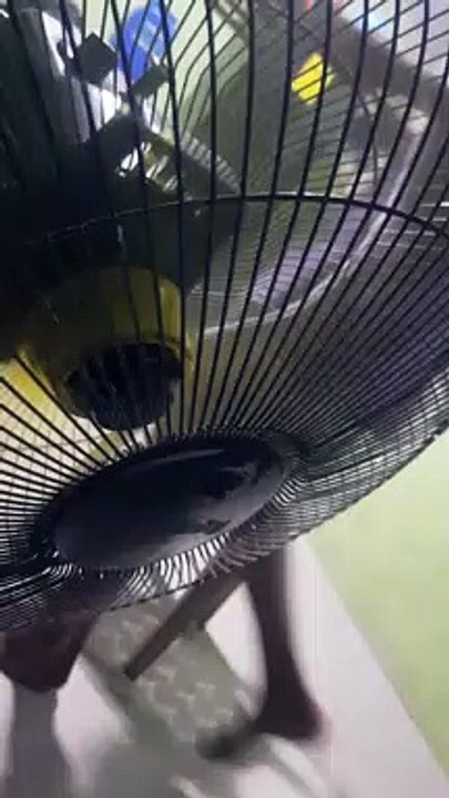 Para sa mainit na panahon