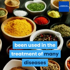 Exploring the Benefits of Ginger