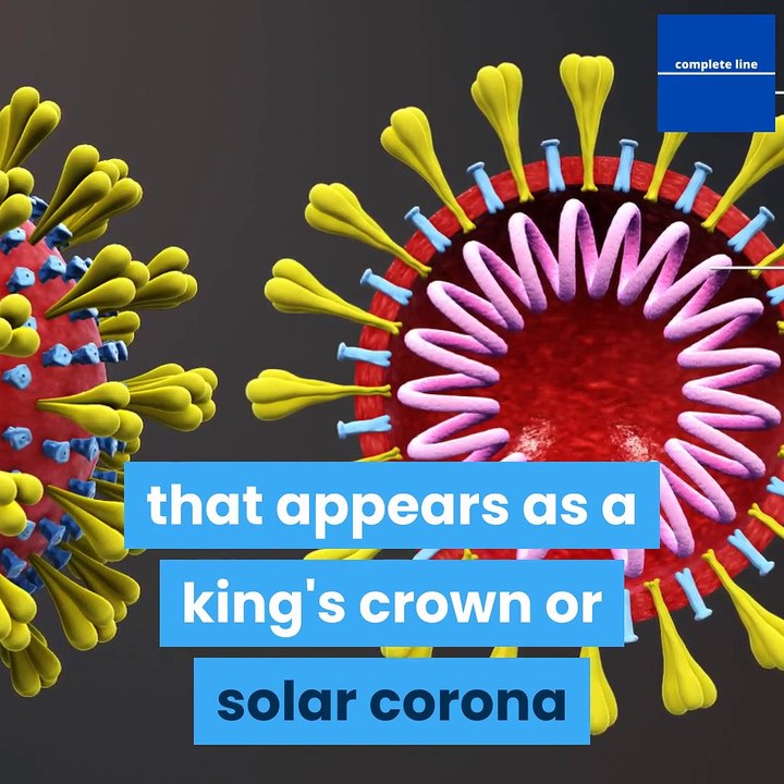 what-is-the-history-of-corona-viruses-to-know-my-future (1)