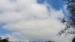 A plane towing a banner reading “the Barlow Hunt kills foxes” soared above Dronfield today as activists gathered in protest at an equestrian event they say funds “illegal foxhunting”