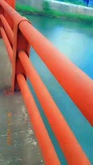 the beautiful scenery of our river