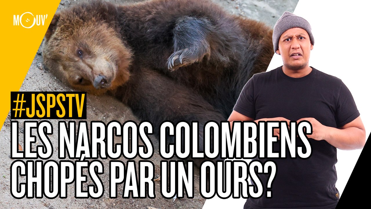 Je sais pas si t'as vu... les narcos colombiens chopés par un ours ?