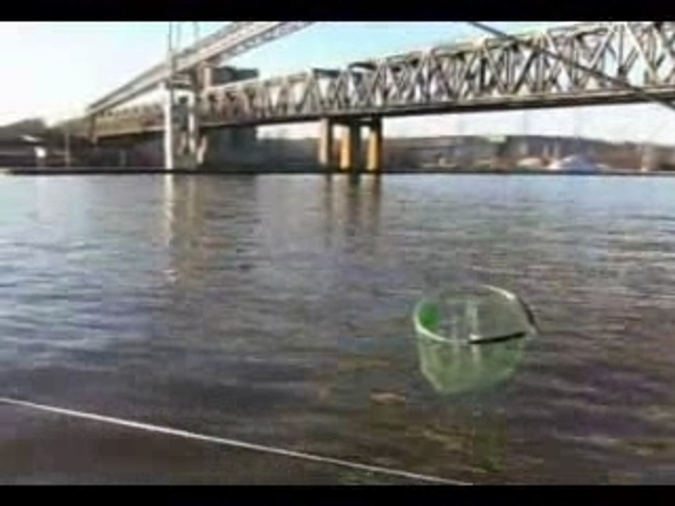 peche au coup entre amis