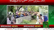 corona raises in lahore zoo | Lahore Corona Update | Corona Raises in lahore Zoo