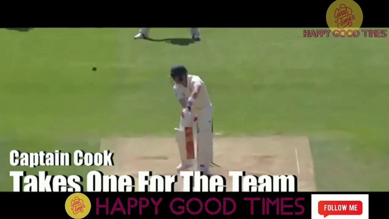 cricket funny moments collection