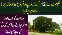 Govt Ne 12 Crore Dekar 150 Sal Purana Darakht Bacha Lia - Darakht Kesa Hai, Bachane Ki Waja Kya Hai?