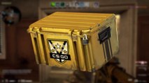 CS:GO - LES SECRETS (fous) DE LA CAISSE CHASSEUR - Histoire de la Caisse Chasseur CSGO - Plagiat, Skins supprimés, Skins remplacés -  Huntsman Case CS GO