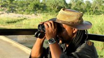 Visit the Kruger National Park South Africa
