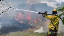 tn7 Bomberos atendieron incendios en vegetación en Escazú, Atenas y Santa Cruz 030421