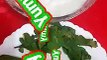 #खीरे का रायता रेसिपी #Shorts #Cucumber Raita #Kheera Raita Recipe #وصفة الخيار رايتا #ککڑی رائٹا نسخہ by Safina kitchen
