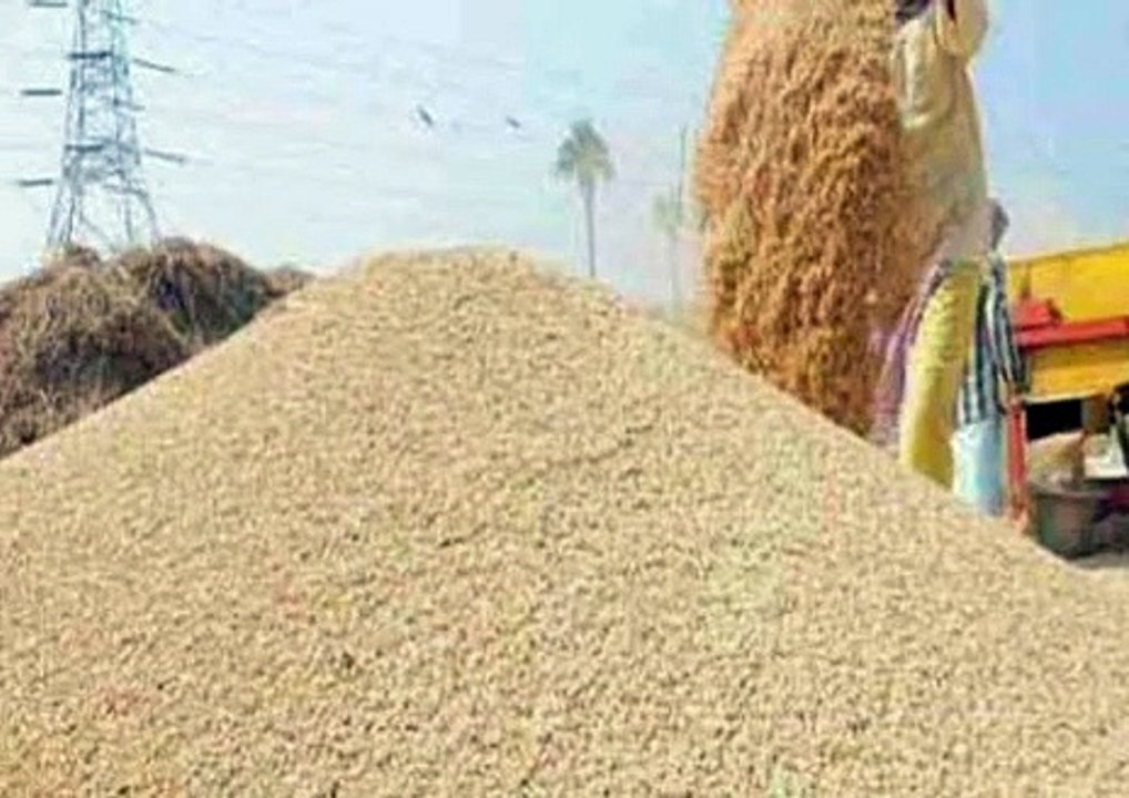 अनाज तथा फल-सब्जी मंडी दोनों ही रिकॉर्ड तोड़ आवक