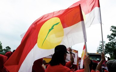 Umno should consider new leadership, not party polls, says analyst