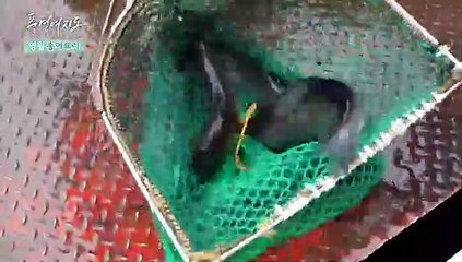 [풍경여지도] 순수한 자연으로의 초대 강원도 영월 2부