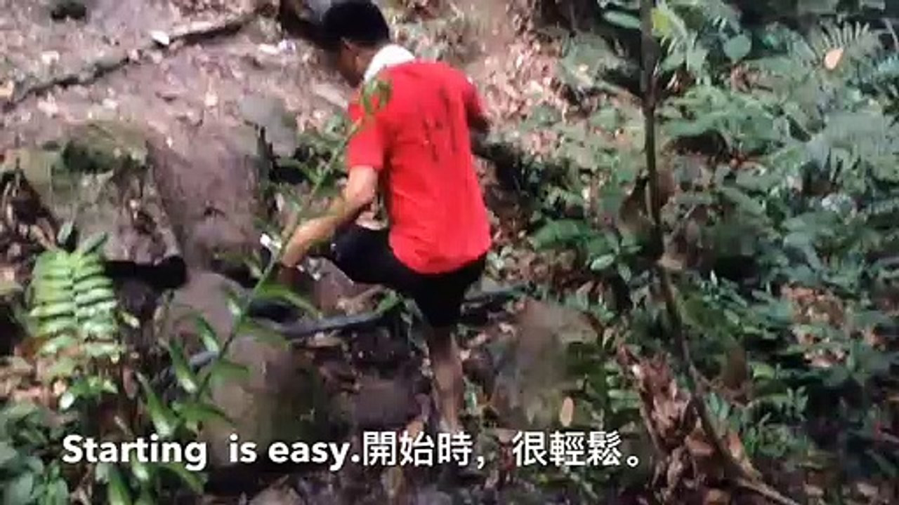 Batu Pahat Jungle Trekking Bukit Penggaram 森林浴 Higher Challenges + Mountain Picnic Funs