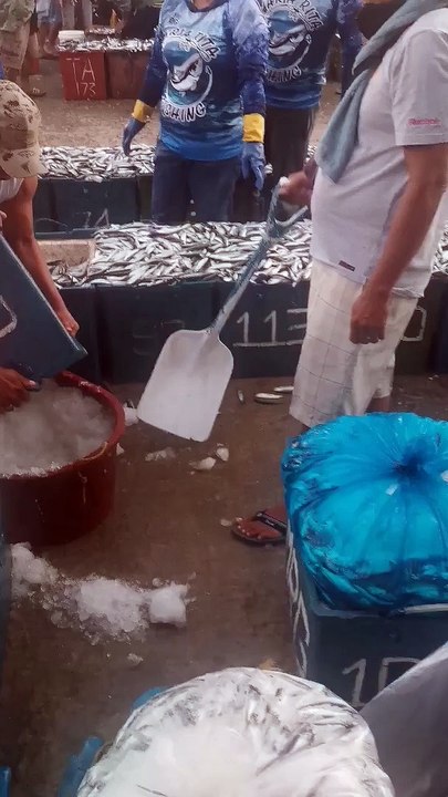Fish lang sakalam