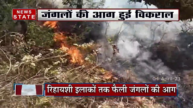 Pahad Samachar: उत्तराखंड के जंगलों में लगी भीषण आग, 2 वनकर्मियों समेत 6 लोगों की मौत