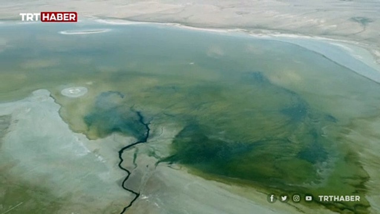 'Flamingo cenneti' kuruyor