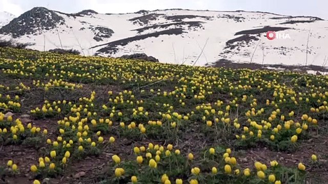 Yüksekova’da İki Mevsim Bir Arada