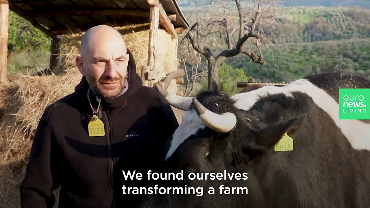 This animal sanctuary is saving baby lambs from the Easter table